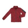 Blouson Polaire Garçon ECEMAILLE38 Rouge 2 Blouson Polaire Garçon ECEMAILLE38 Rouge -Vêtements De Ski Blouson polaire Garcon de 3 ans a 8 ans ECEMAILLE38 roug